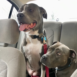 Fundraising Page: Erin Grigg